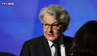Thierry Breton et 4 autres Européens privés de visa aux États-Unis : pourquoi une telle sanction ?