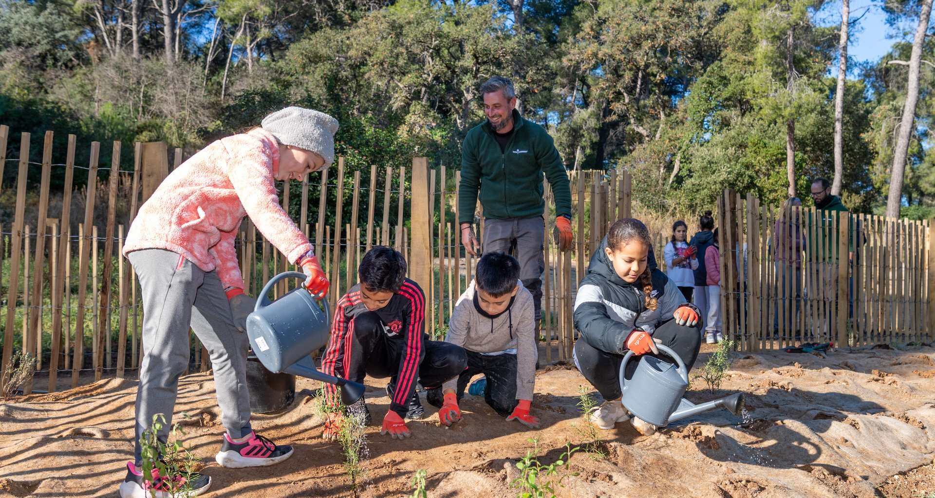 150 nouveaux plants grâce aux CM1 de Pagnol – La Seyne-sur-Mer