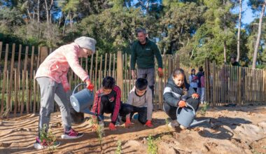 150 nouveaux plants grâce aux CM1 de Pagnol – La Seyne-sur-Mer