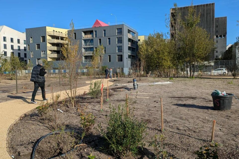 Après les travaux de dépollution, de nombreuses plantations ont lieu dans le futur jardin de la faïencerie à Bordeaux.