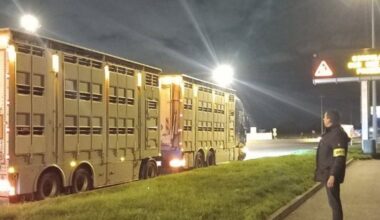 des opérations de contrôle menées sur les routes