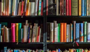 Rouen. Quatre bibliothèques changent de nom, voici lesquelles