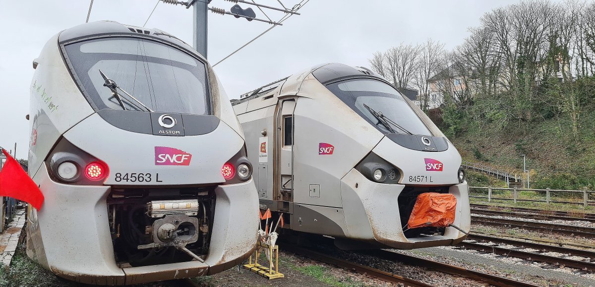 Seine-Maritime. Un train percute un arbre, la ligne Rouen Dieppe à l'arrêt pendant une demi-heure