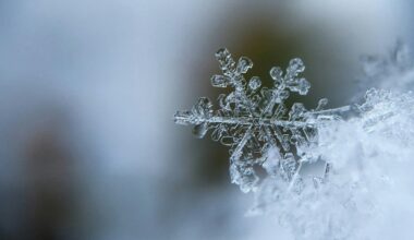 Météo. Va-t-il neiger à Noël en Seine-Maritime ?