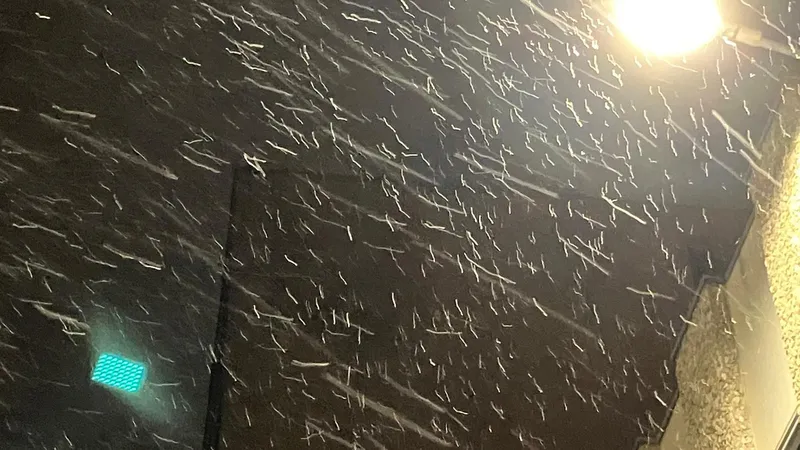 Des flocons dans le ciel de Rennes ce 25 décembre 2025