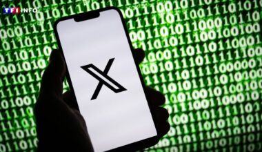 L'UE inflige une amende colossale au réseau X, une "attaque" contre le "peuple américain"