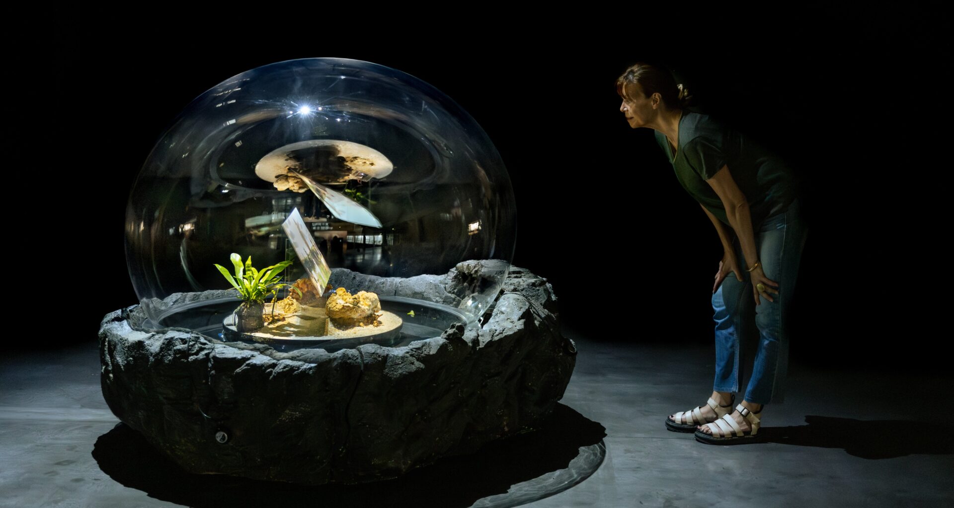 Il vous reste quelques jours pour profiter de l'expo Panorama 27 à Tourcoing - 27/12/2025