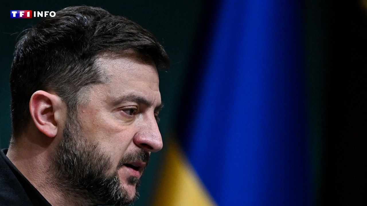 EN DIRECT - Ukraine : Zelensky s'entretiendra avec ses alliés européens avant de rencontrer Trump