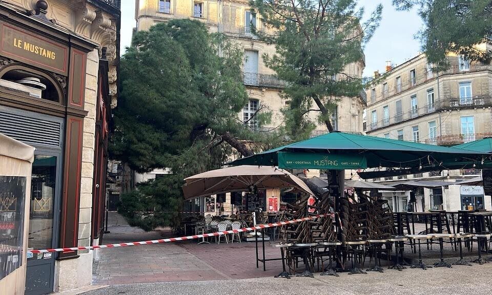 Le parasol d'une terrasse d'une brasserie endommagé