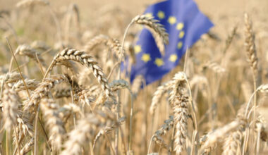 PAC 2028-2034 : l'UE promet 45 milliards d'euros de rallonge budgétaire