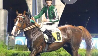 Deux écuries de la Manche au départ du Prix de Cornulier, la plus grande course au trot monté