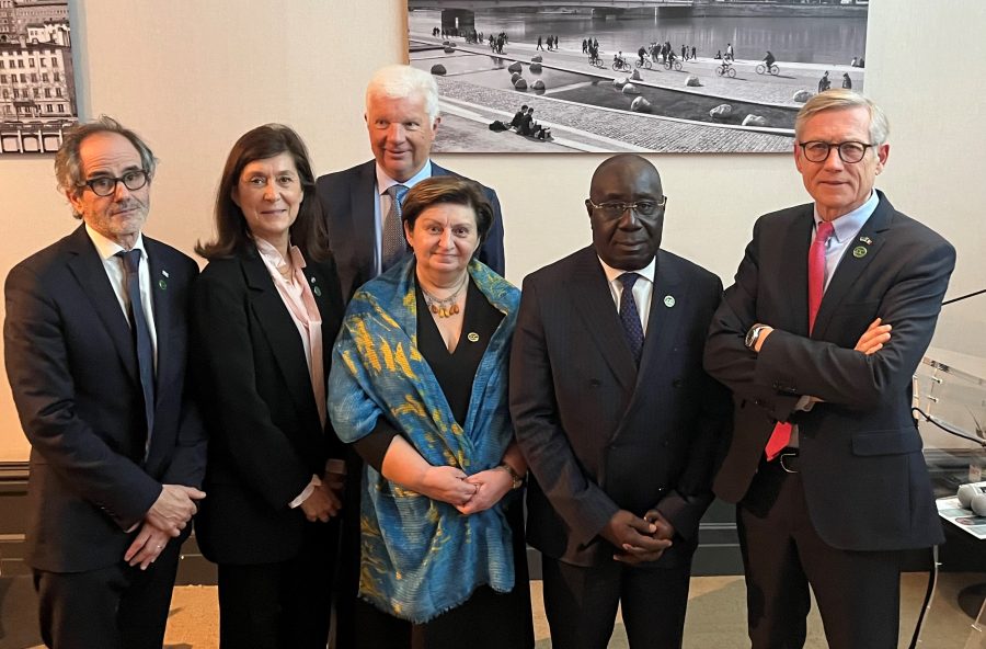 Lyon. Les visages des nouveaux décideurs -