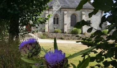 la photo de cette habitante a tapé dans l’œil de la Région