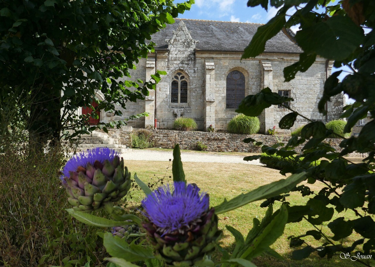 la photo de cette habitante a tapé dans l’œil de la Région