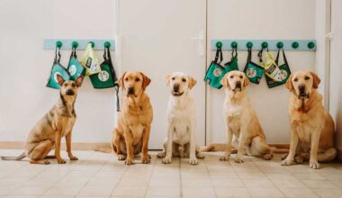 une marque d’accessoires pour animaux épinglée par la Répression des fraudes