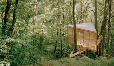 Une cabane d'architecte perchée dans les arbres, à la fois refuge et atelier d'écriture