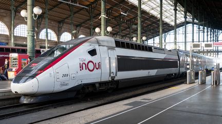 Un TGV à la gare du Nord, à Paris, le 30 décembre 2025. (CARINE SCHMITT / HANS LUCAS / AFP)