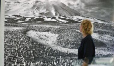 ces trois expositions à découvrir avant leur clôture à La Seyne