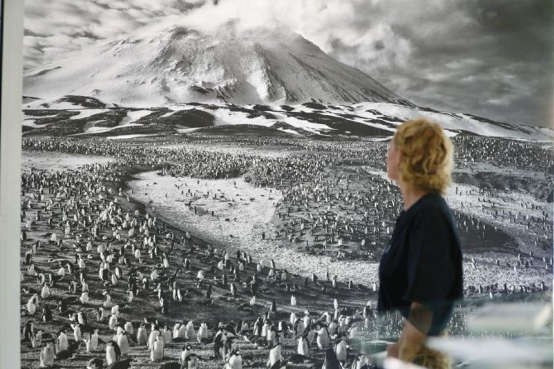 ces trois expositions à découvrir avant leur clôture à La Seyne