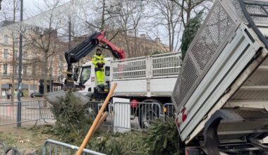 Saint-Étienne : 33 points pour recycler vos sapins jusqu’au 25 janvier