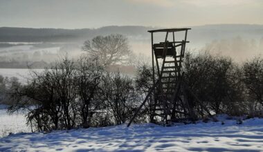 Jusqu'à - 15°C : l'Allemagne commence l'année avec des températures glaciales