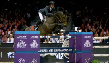 Gironde : le jumping de Bordeaux se prépare pour une 46ième édition de la coupe du Monde