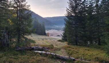 Ronde de coins de nature... france-interrienne !