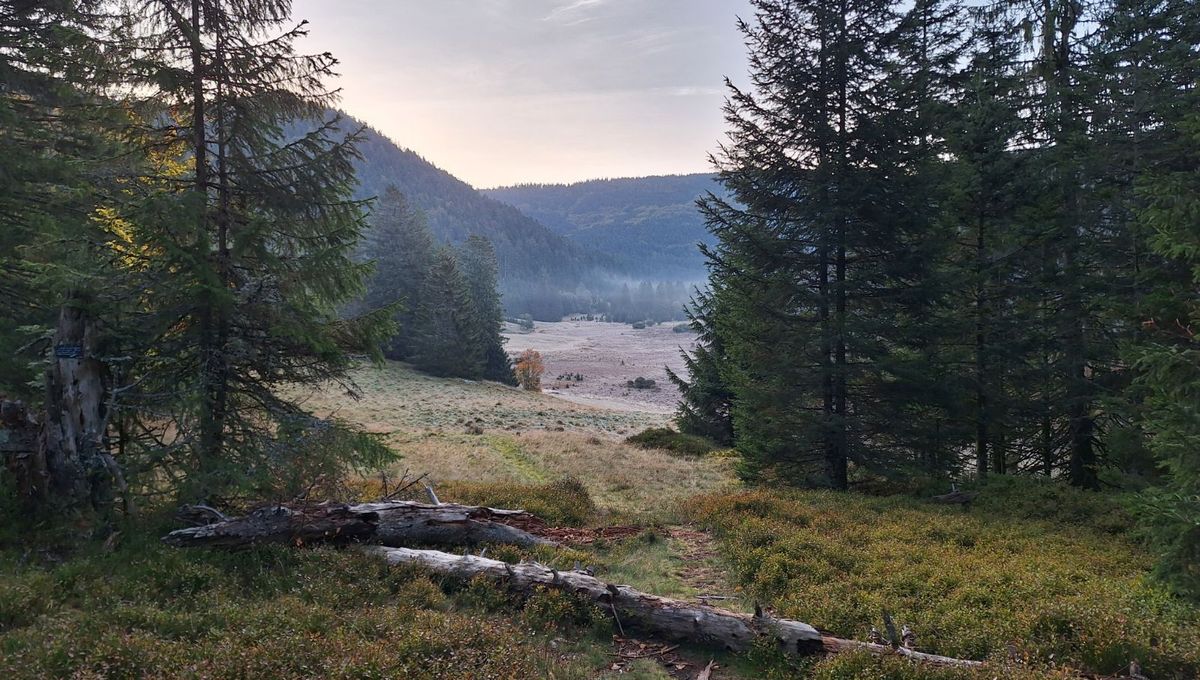 Ronde de coins de nature... france-interrienne !