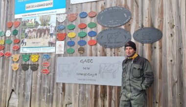 Pas de Montbéliardes au salon de l'agriculture à Paris : "entre la passion et la raison, c'est la raison qui l'emporte"