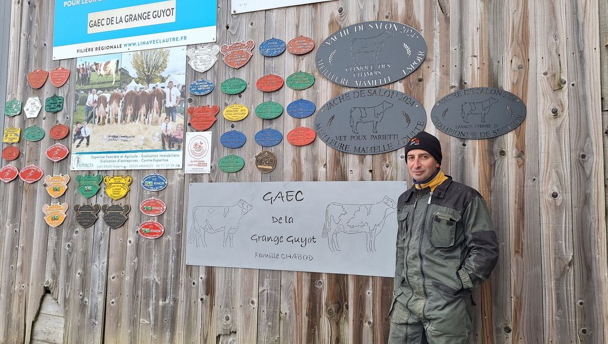 Pas de Montbéliardes au salon de l'agriculture à Paris : "entre la passion et la raison, c'est la raison qui l'emporte"