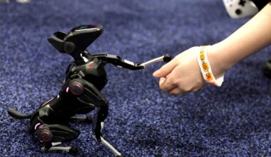 à Las Vegas, couteaux supersoniques et smartphones pour chiens côtoient une IA omniprésente