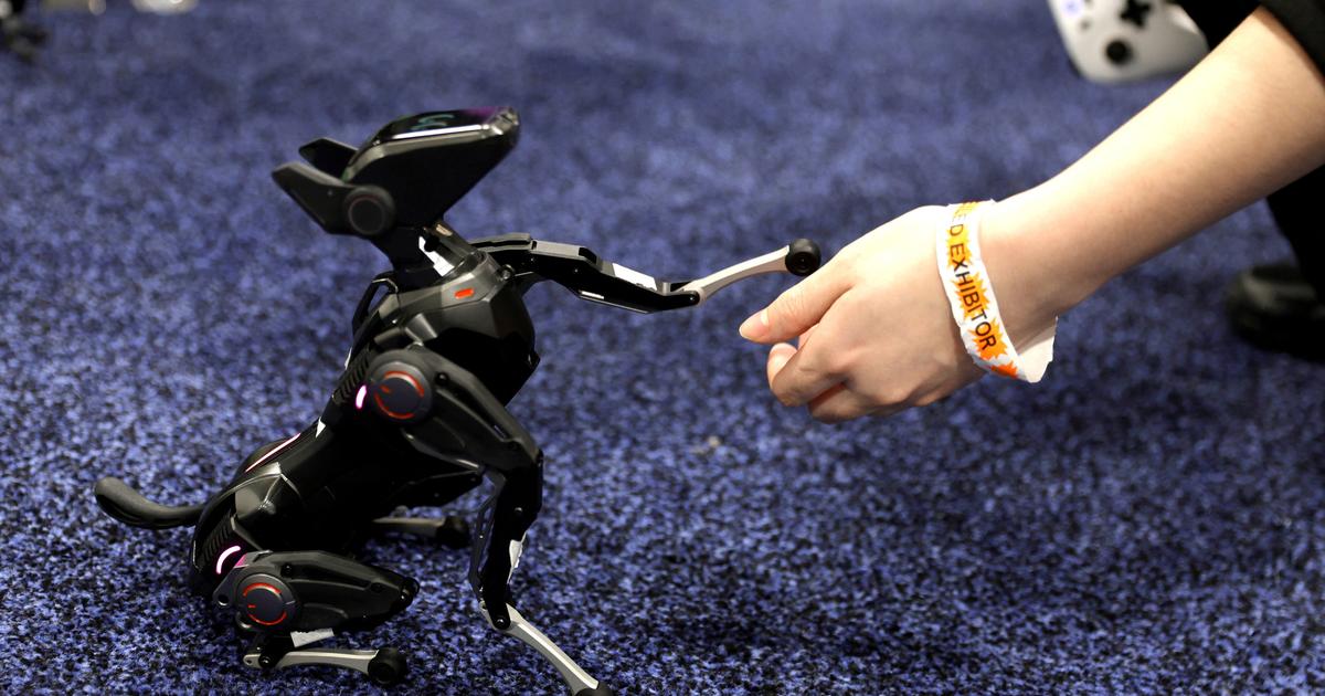 à Las Vegas, couteaux supersoniques et smartphones pour chiens côtoient une IA omniprésente