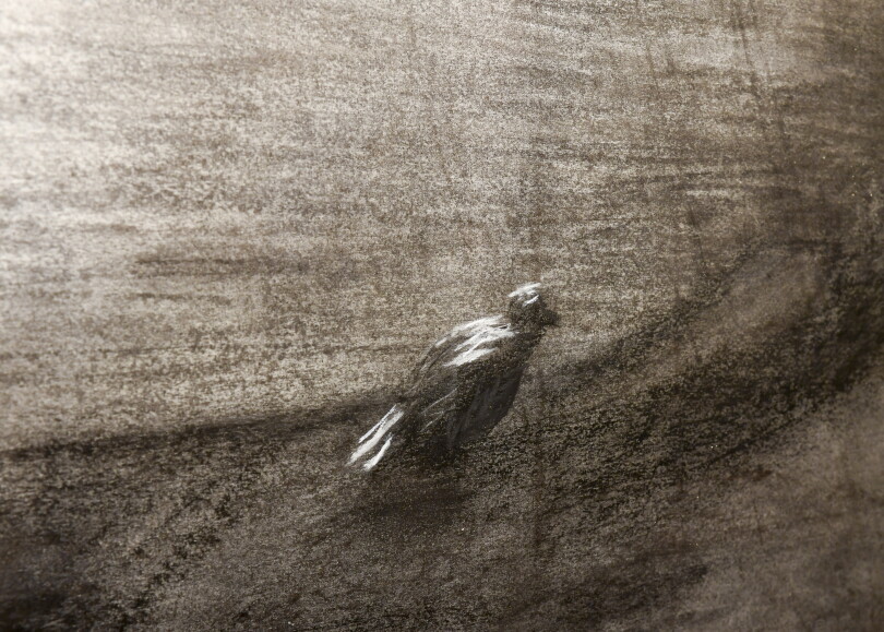 L'un des dessins au fusain de Gilone.