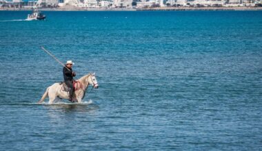 Dernier regard photographique sur l’actualité nîmoise de 2025