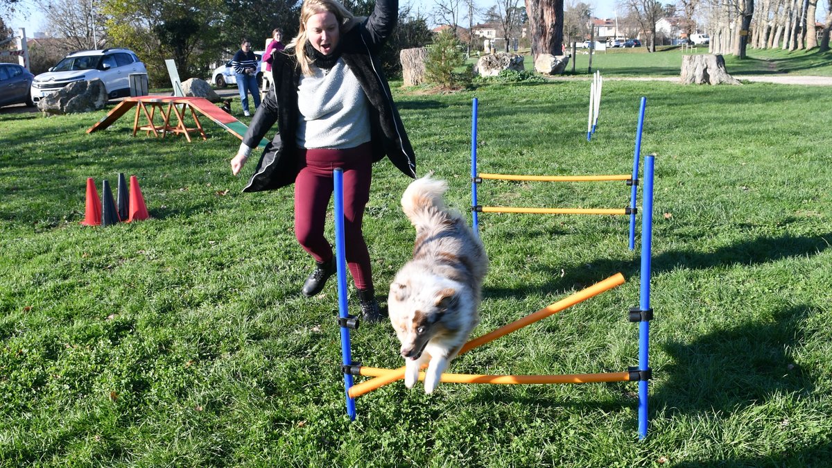 "Mon chien apprend à se comporter correctement" : ce parc canin itinérant fait un tabac près de Toulouse