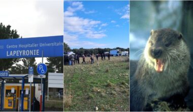 L’enquête sur la mort de l’interne se poursuit, une rave contenue par les forces de l’ordre, une loutre au Salagou : l’essentiel de l’actu en région