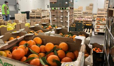 La nantaise Catherine Quérard du GHR espère une "visibilité fiscale" en 2026