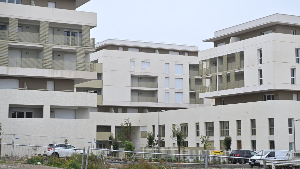 Montpellier Sud, Cambacérès et Cité Créative : ces quartiers qui vont se développer le plus en 2026