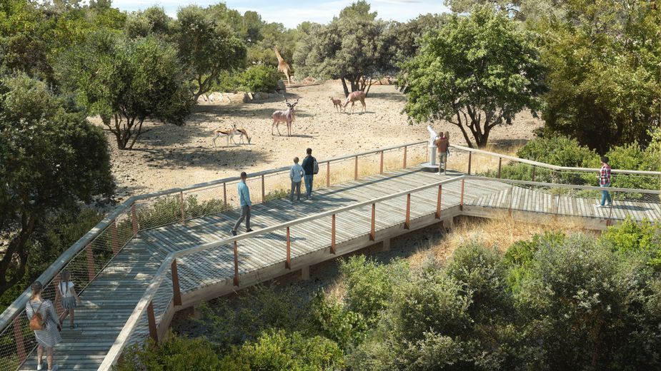 Une vue des futurs enclos du zoo.