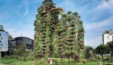 Evanesens, chaufferie, zoo… : 2026 sera marquée par des chantiers emblématiques à Montpellier