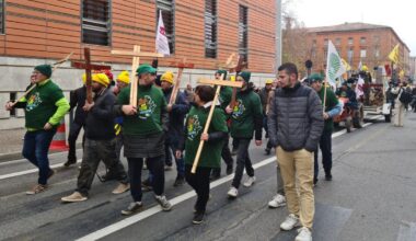 illustration agrandir l