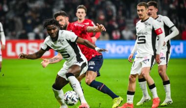 illustration agrandir l