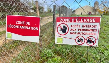 illustration agrandir l