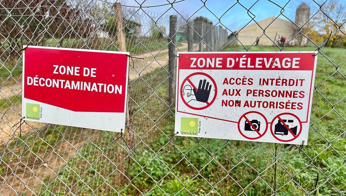 illustration agrandir l