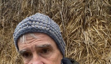 Troisième foyer de dermatose nodulaire en Ariège : "A ce rythme-là, dans 6 mois il n’y a plus une vache dans les Pyrénées"