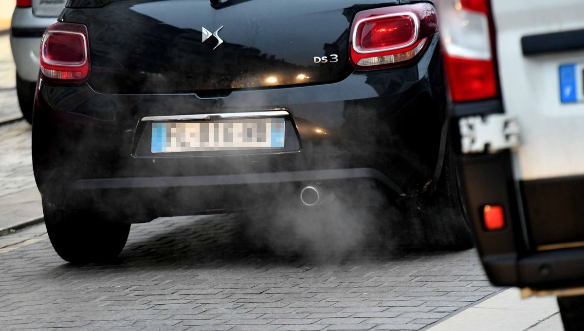 illustration agrandir l