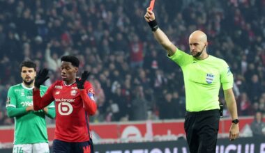 illustration agrandir l