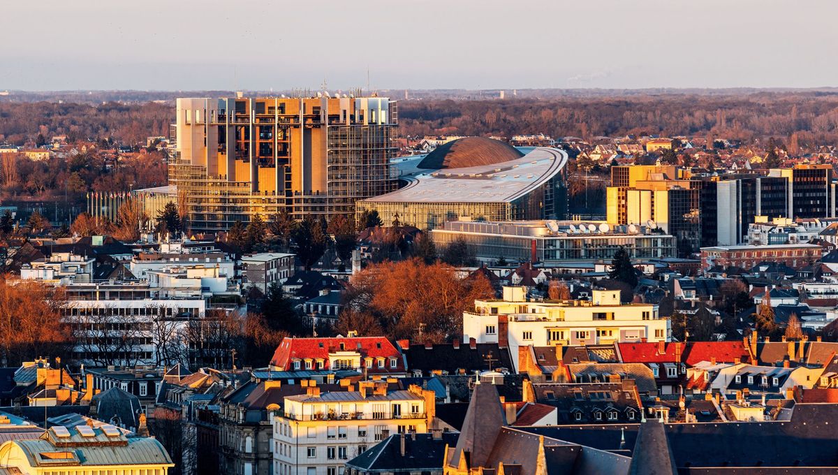 illustration agrandir l