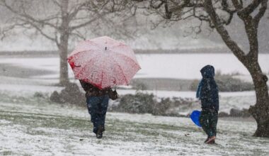 illustration agrandir l