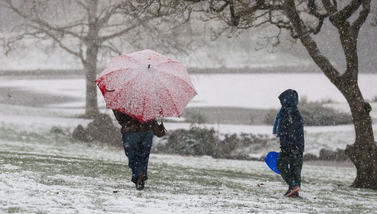 illustration agrandir l